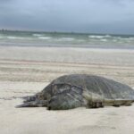 city-tour-in-muscat (3)