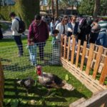 614601427_17989328123916188_569759971194855542_n