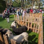 615378734_17989328150916188_8329129466740338284_n