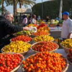 615818762_17989328060916188_1944662438306396849_n